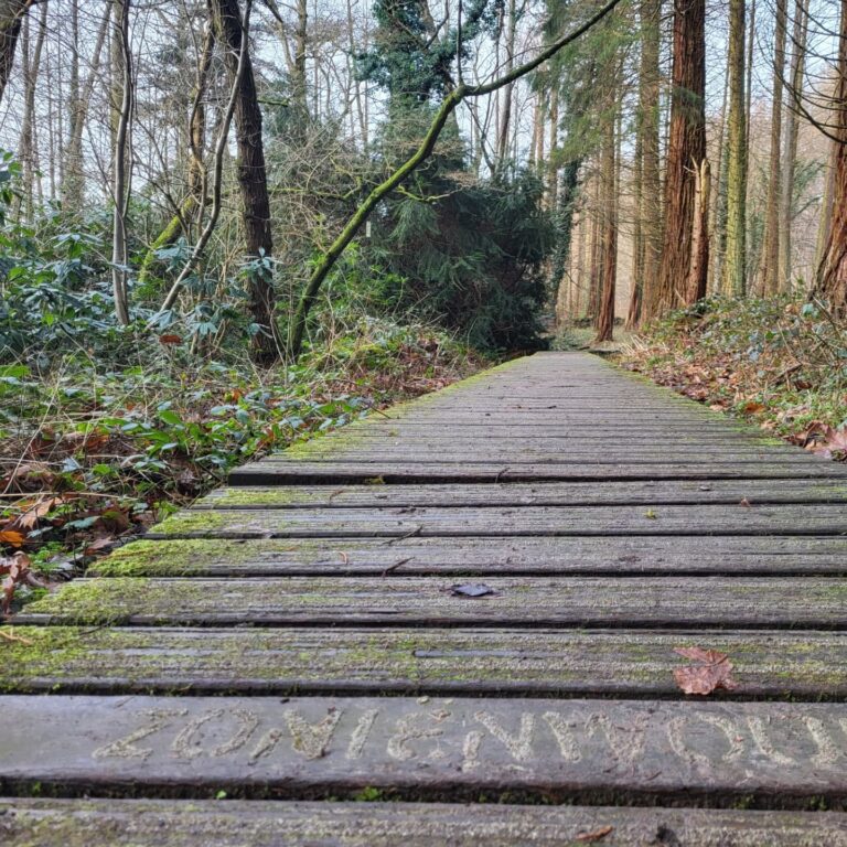 Rando An neuf 4 - Au point de rosée