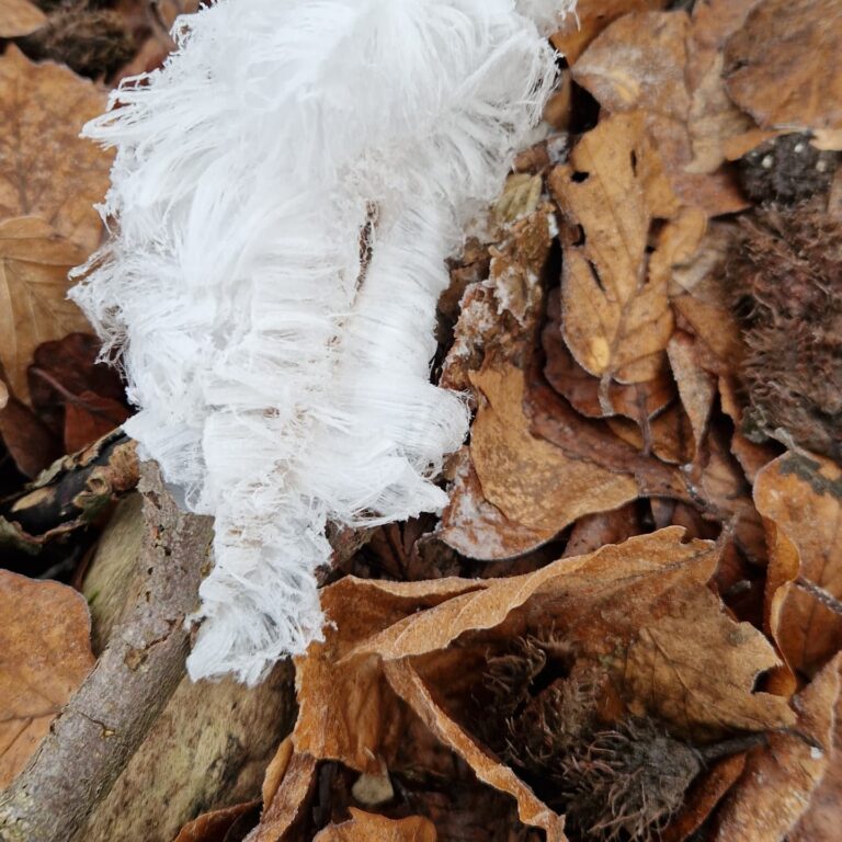 Rando An neuf 3 - Au point de rosée