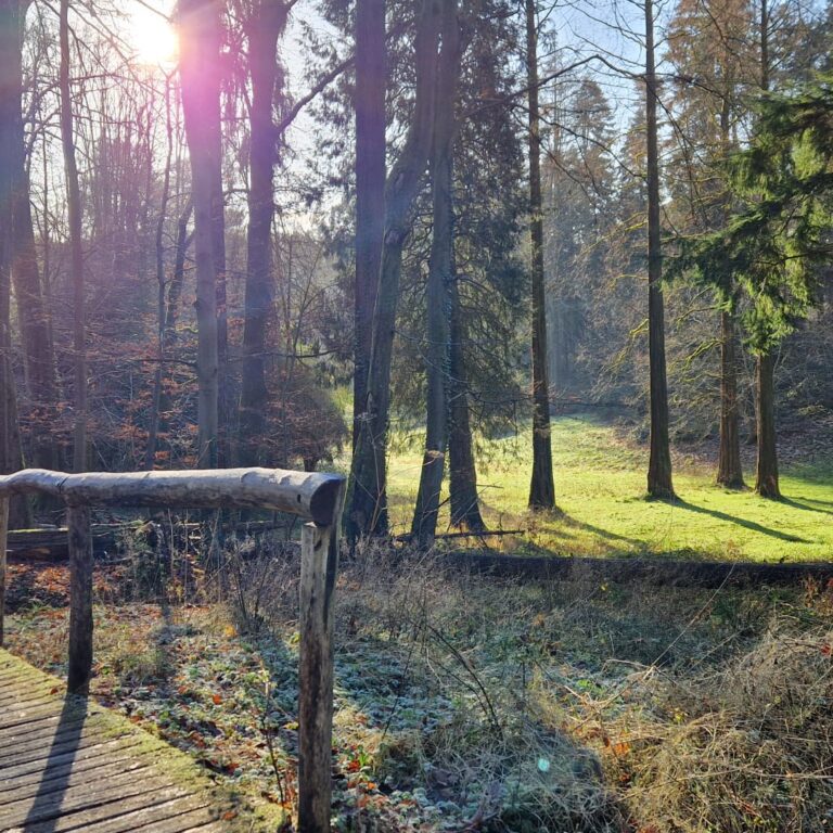 Rando An neuf 5 - Au point de rosée