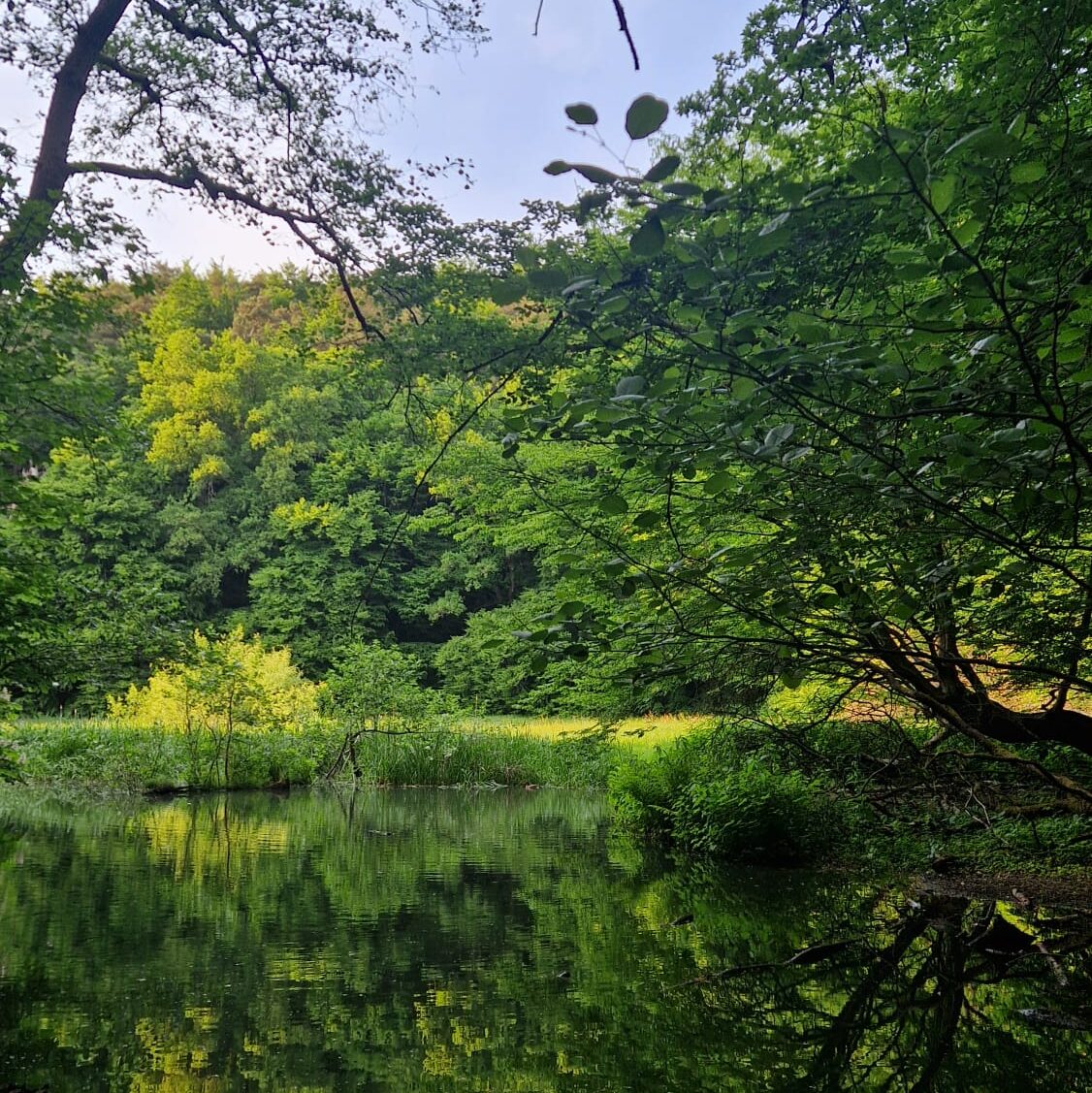 WhatsApp Image 2025-05-21 at 13.27.01