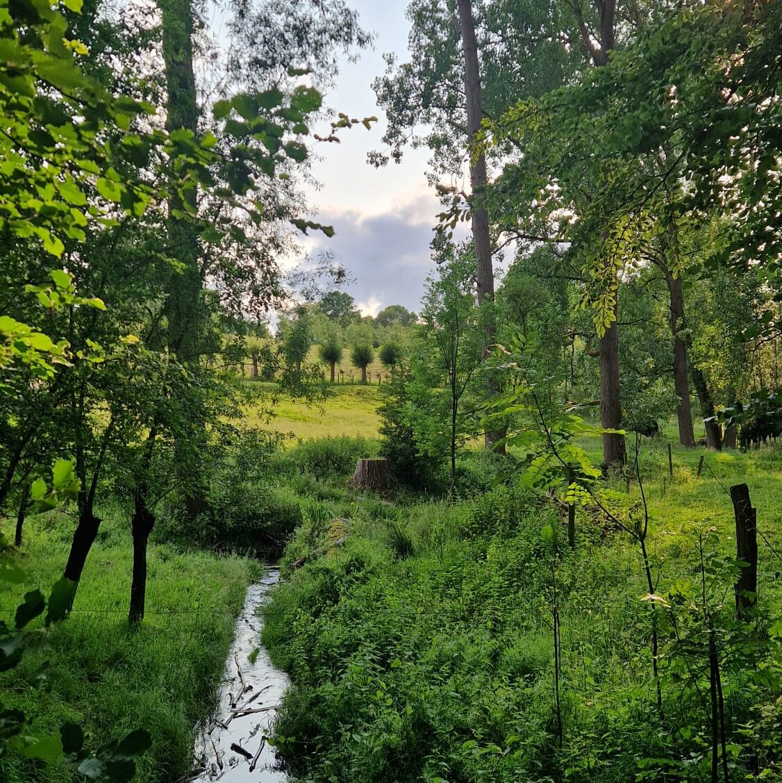 a4fffbfe-6c62-4e7e-9bb7-5e365f6d3016