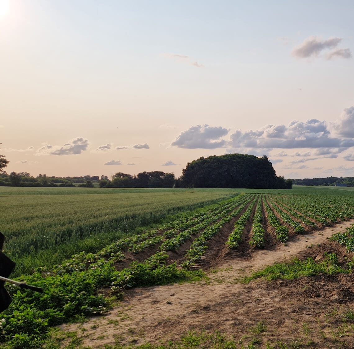 e5cf4e31-28c2-4c5d-a5bf-851bbef35481