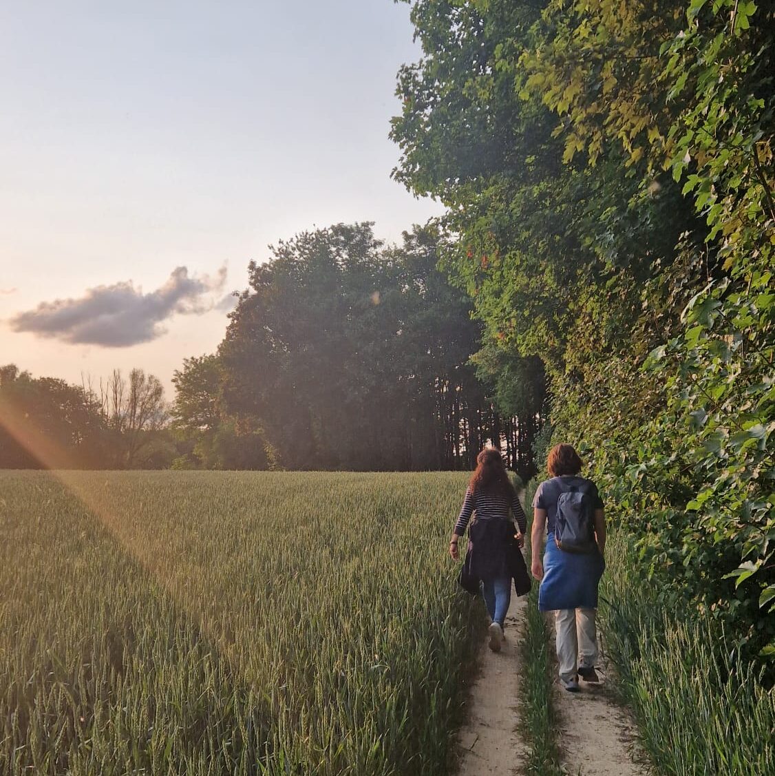 ee4e5b18-349b-4c31-bfe9-c240e2278df0