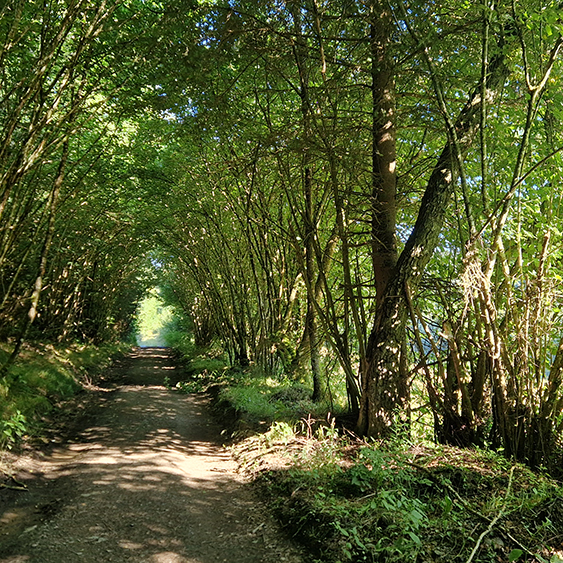 Mousny_aupointderosee_6