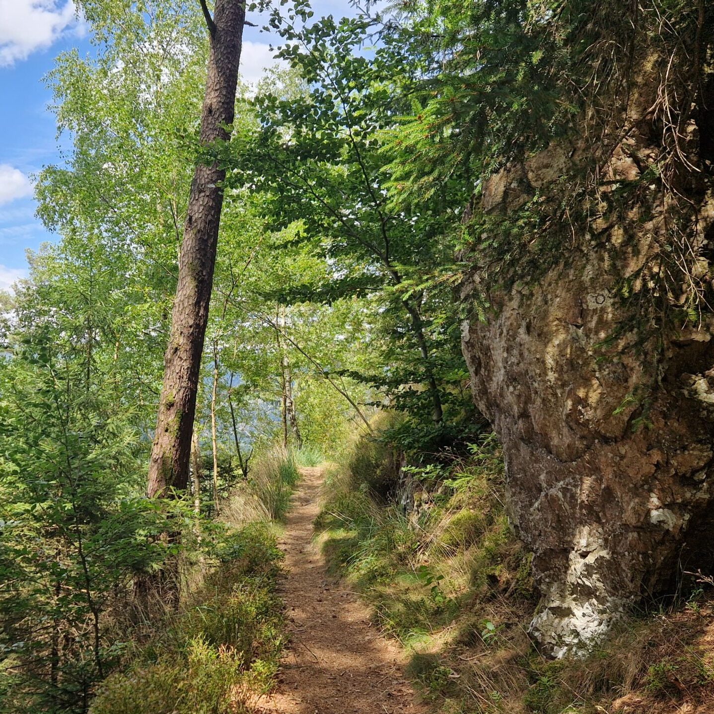 Vosges_aupointderosee9