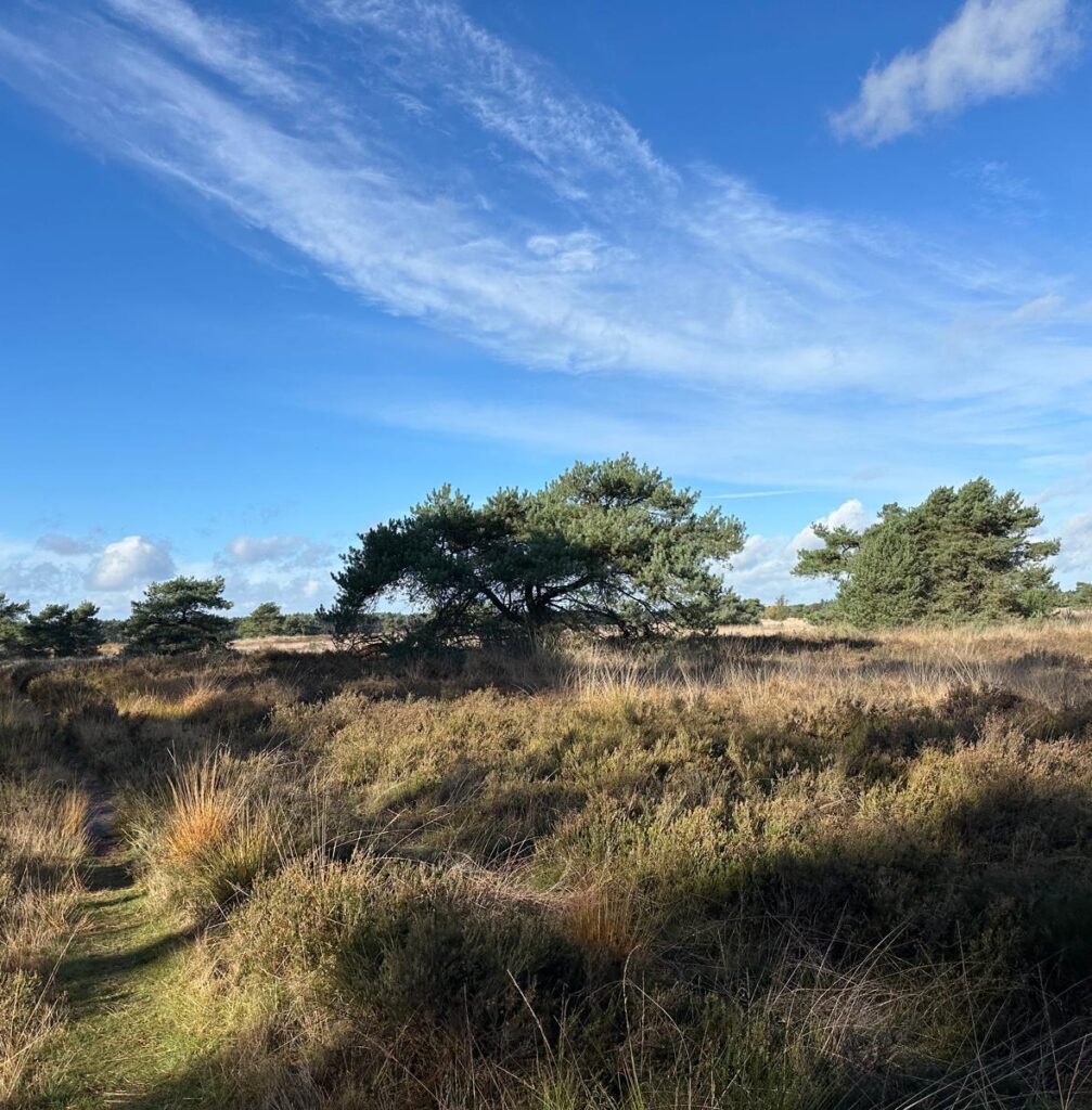 3f1555c5-cf09-4a61-a0ce-d4d58cf369c2