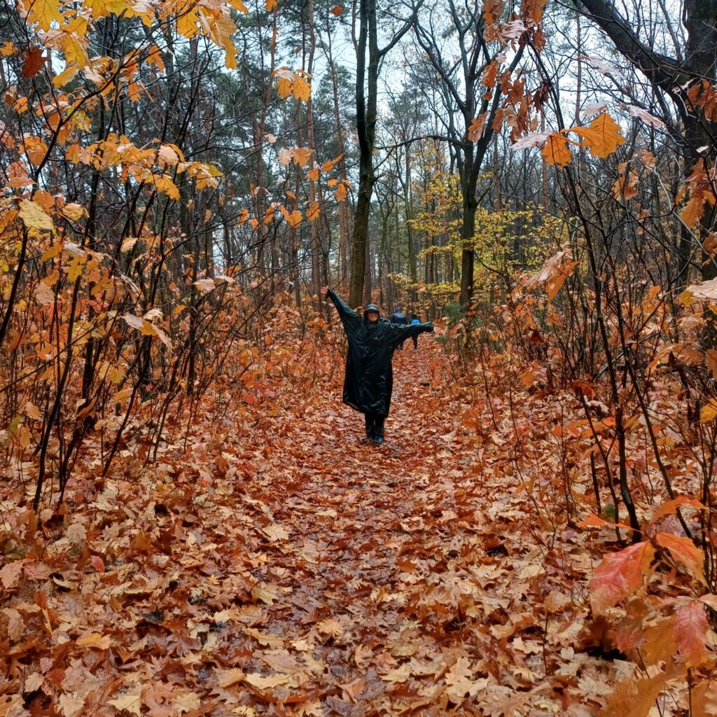 d0b86e97-dccf-4f8d-bc58-11ec9c855554